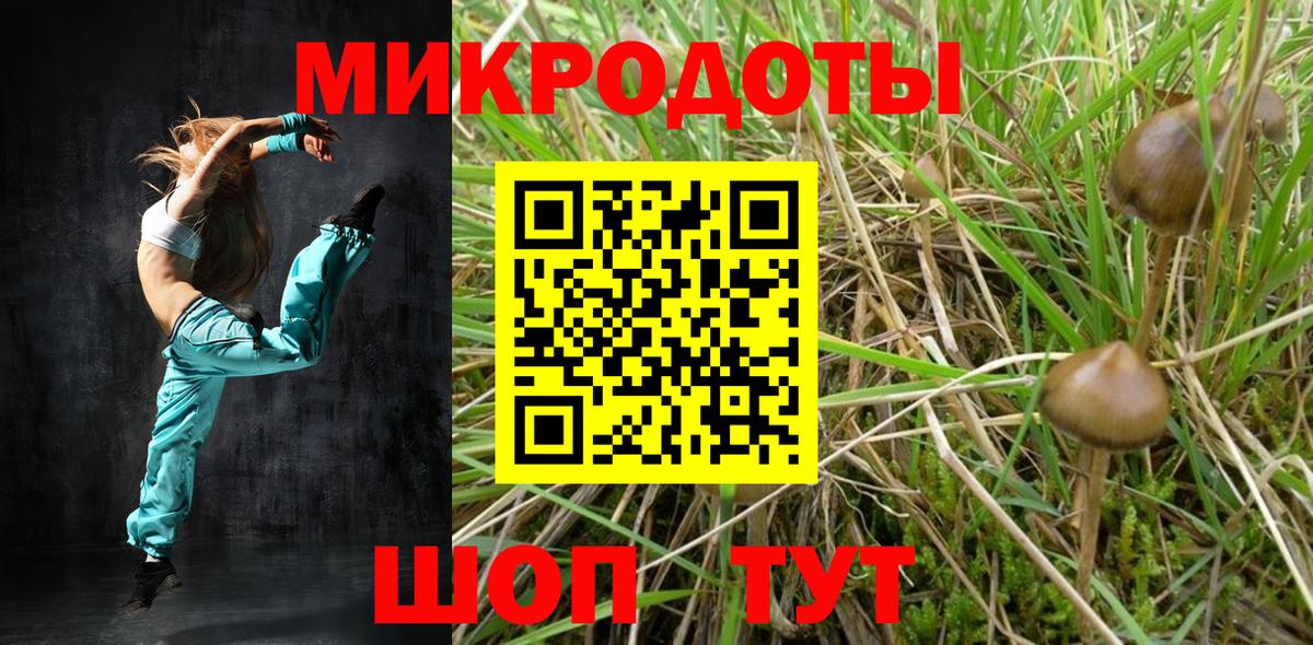 Галлюциногенные грибы прущие грибы Белореченск
