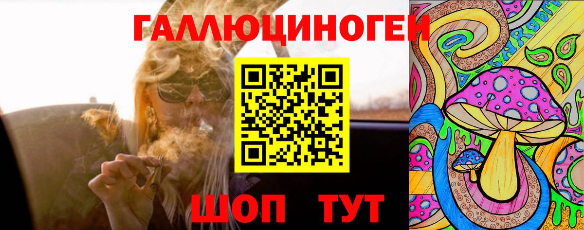 Белореченск  Псилоцибиновые грибы Psilocybine cubensis  Вход с VPN 